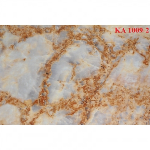 KA1009-2
